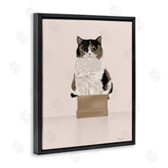 Tara Royle | Cat in Cardboard Box