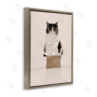 Tara Royle | Cat in Cardboard Box