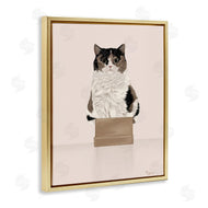 Tara Royle | Cat in Cardboard Box