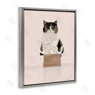 Tara Royle | Cat in Cardboard Box