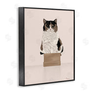 Tara Royle | Cat in Cardboard Box