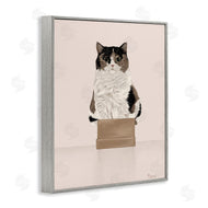 Tara Royle | Cat in Cardboard Box