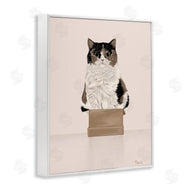 Tara Royle | Cat in Cardboard Box