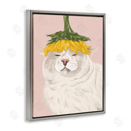 Tara Royle | Cat with Daisy on Head