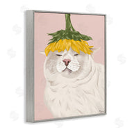 Tara Royle | Cat with Daisy on Head