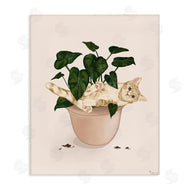 Tara Royle | Funny Cat in House Plant