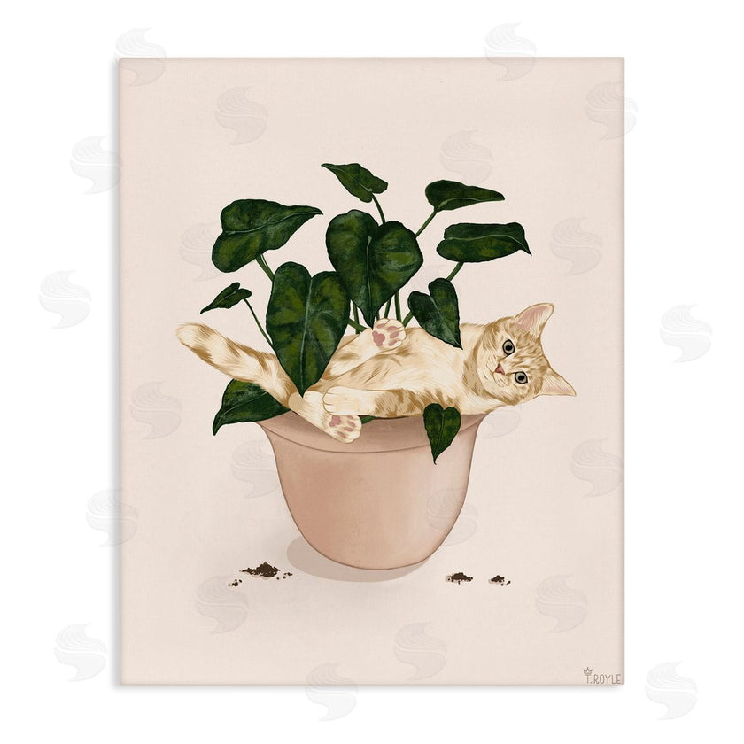 Tara Royle | Funny Cat in House Plant