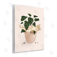 Tara Royle | Funny Cat in House Plant