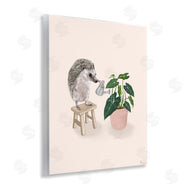 Tara Royle | Hedgehog Watering Plant