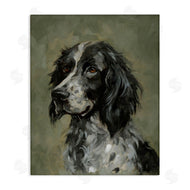 Victoria Barnes | Cocker Spaniel Portrait