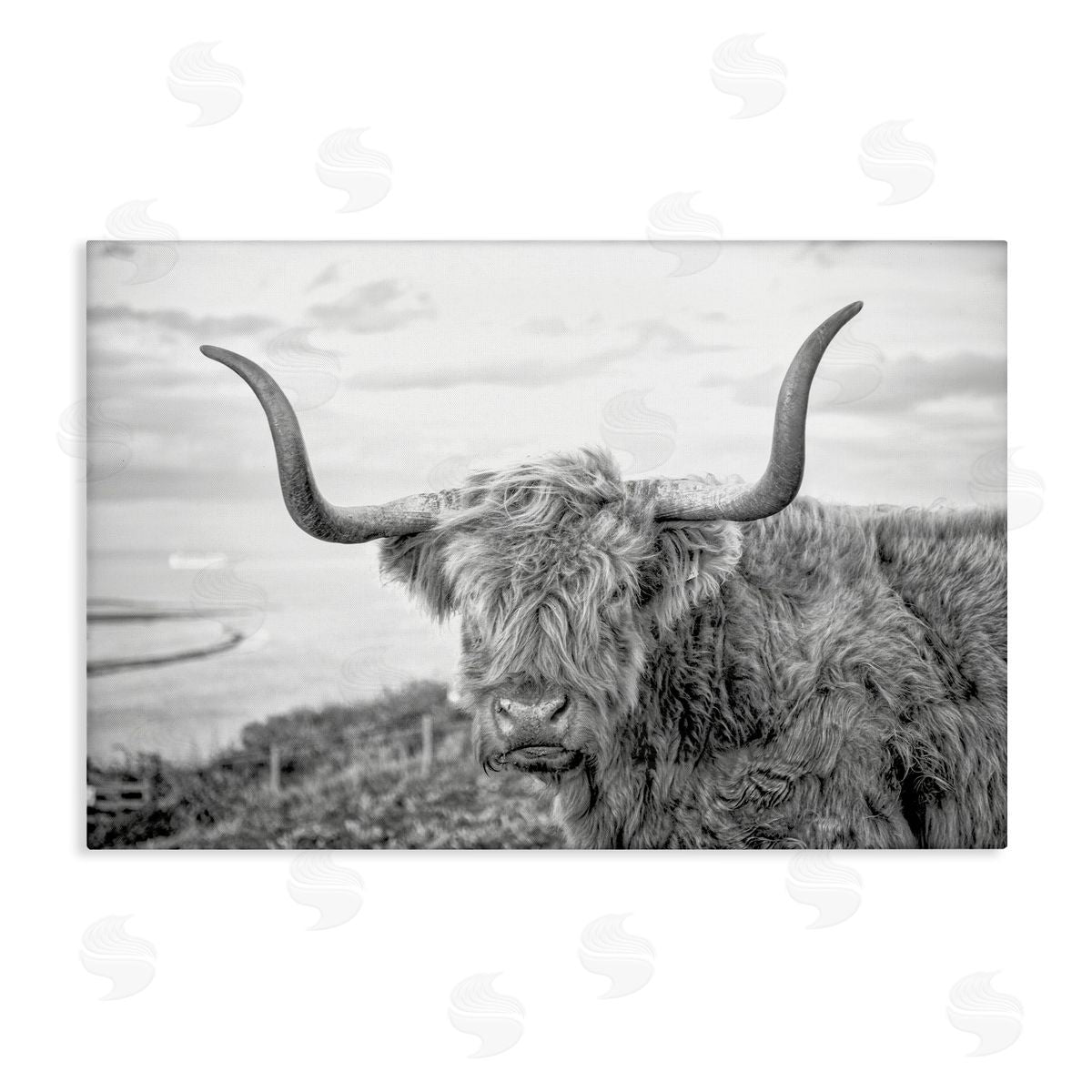 Traditional Fuzzy Cattle Canvas Wall Art, Home Decor by Jasper Huish