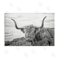 Jasper Huish | Traditional Fuzzy Cattle