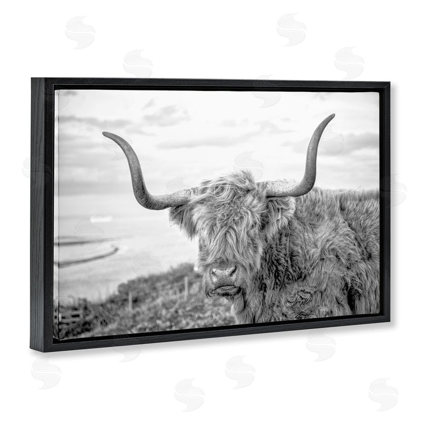 Jasper Huish | Traditional Fuzzy Cattle
