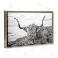Jasper Huish | Traditional Fuzzy Cattle