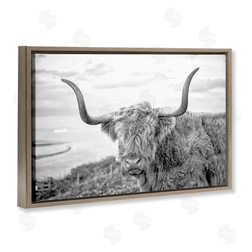 Jasper Huish | Traditional Fuzzy Cattle