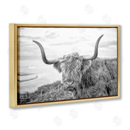 Jasper Huish | Traditional Fuzzy Cattle