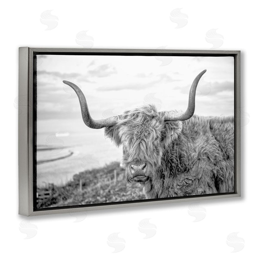 Jasper Huish | Traditional Fuzzy Cattle
