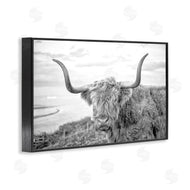 Jasper Huish | Traditional Fuzzy Cattle