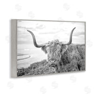 Jasper Huish | Traditional Fuzzy Cattle
