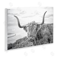 Jasper Huish | Traditional Fuzzy Cattle