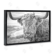 Jasper Huish | Close Up Fuzzy Cattle