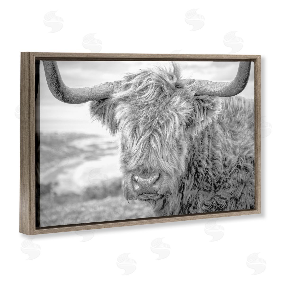 Close Up Fuzzy Cattle Brown Floating Frame Canvas Wall Art, Home Decor by Jasper Huish