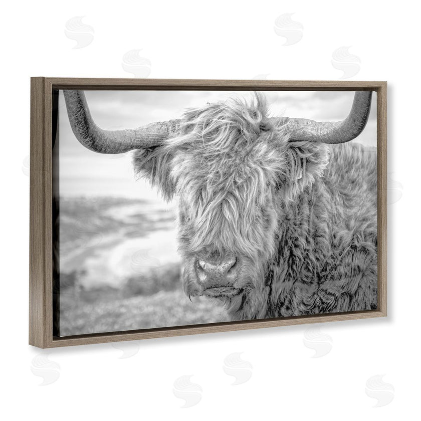 Jasper Huish | Close Up Fuzzy Cattle