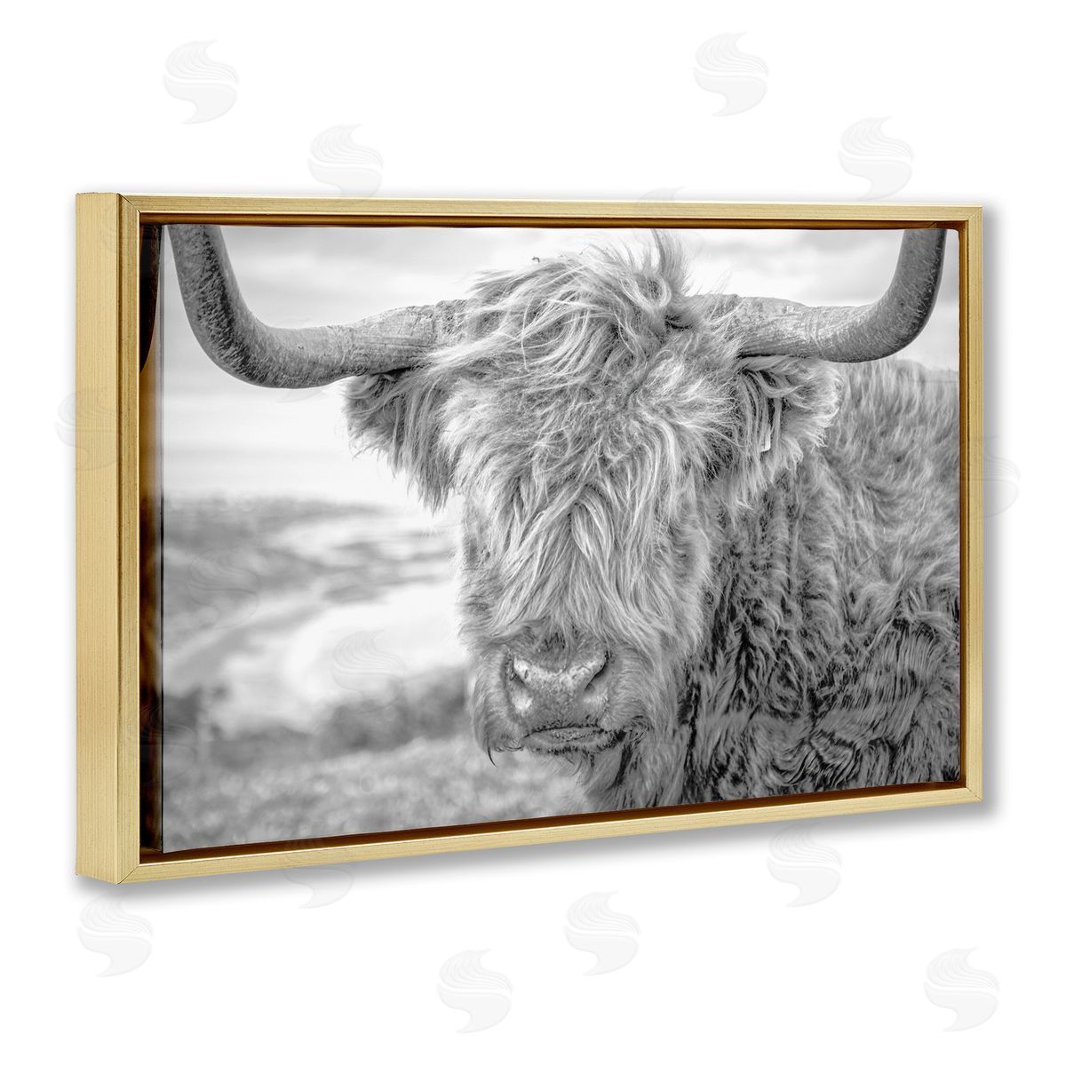 Close Up Fuzzy Cattle Gold Floating Frame Canvas Wall Art, Home Decor by Jasper Huish