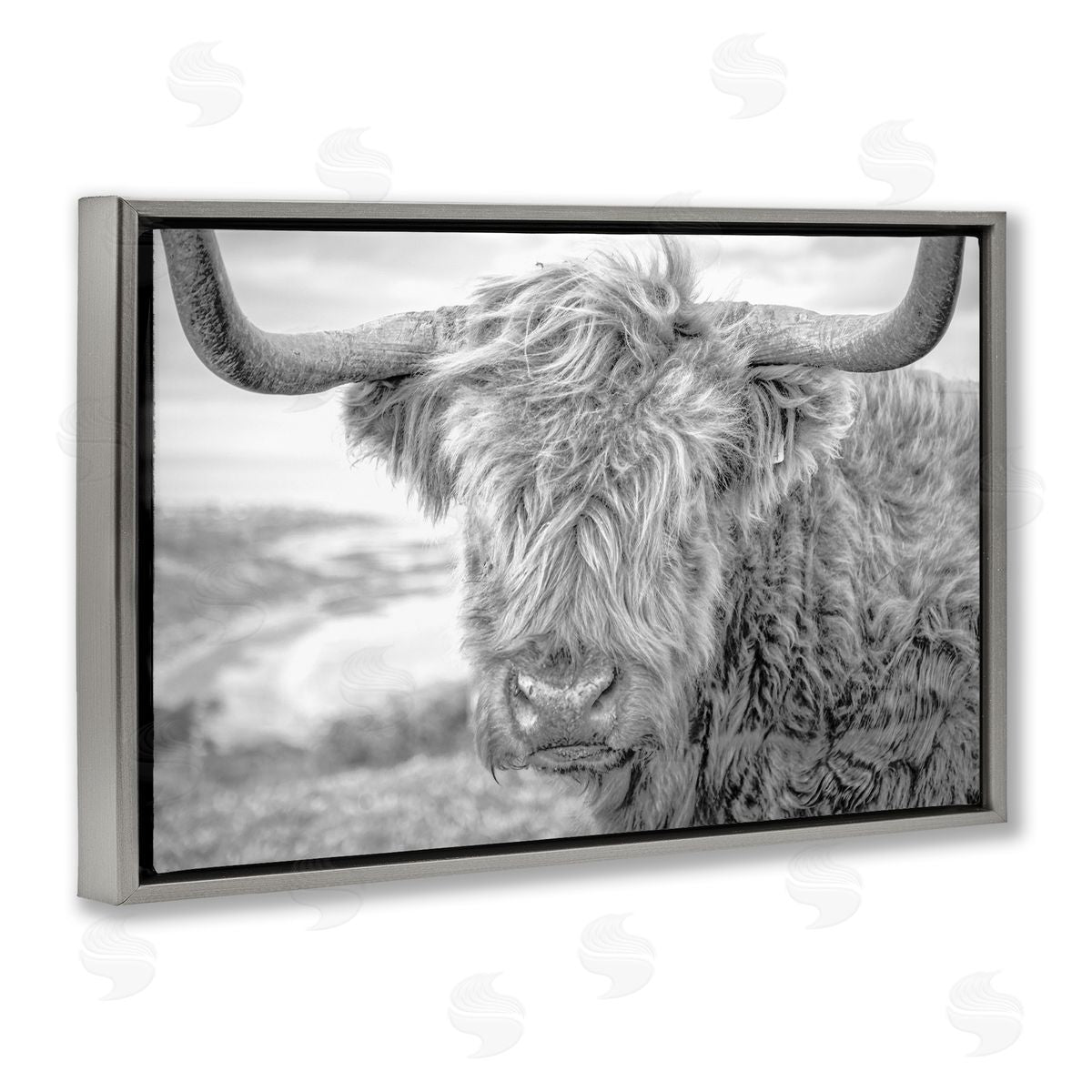 Close Up Fuzzy Cattle Grey Floating Frame Canvas Wall Art, Home Decor by Jasper Huish