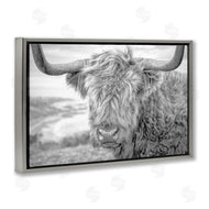 Jasper Huish | Close Up Fuzzy Cattle