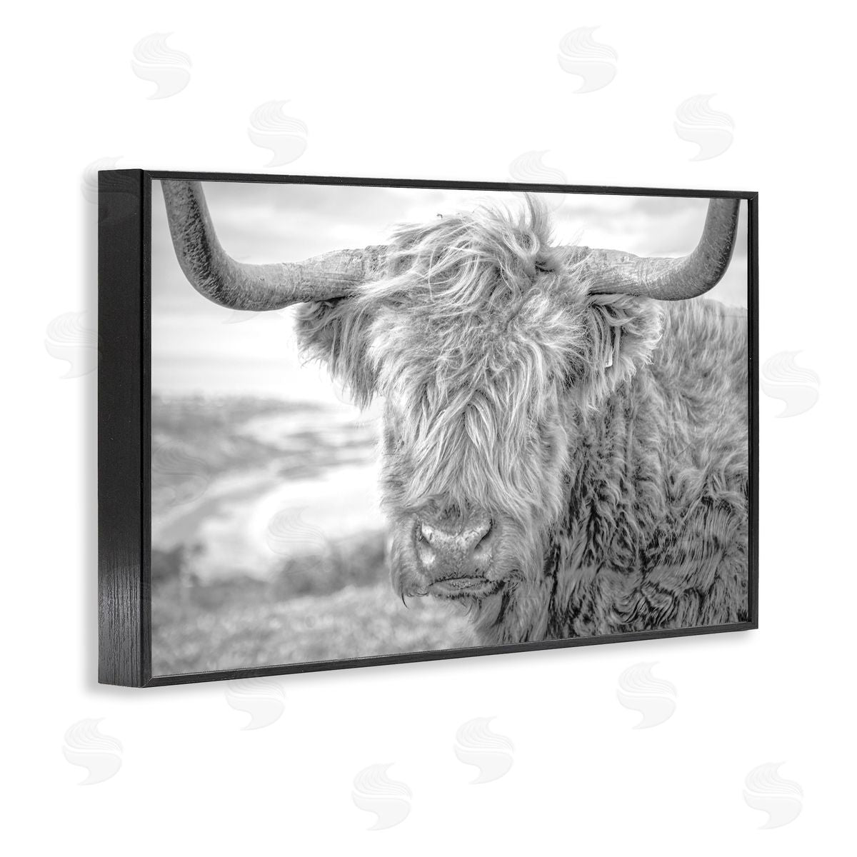Close Up Fuzzy Cattle Black Frame Print Wall Art, Home Decor by Jasper Huish