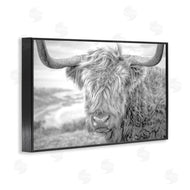 Jasper Huish | Close Up Fuzzy Cattle