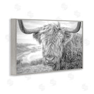 Jasper Huish | Close Up Fuzzy Cattle