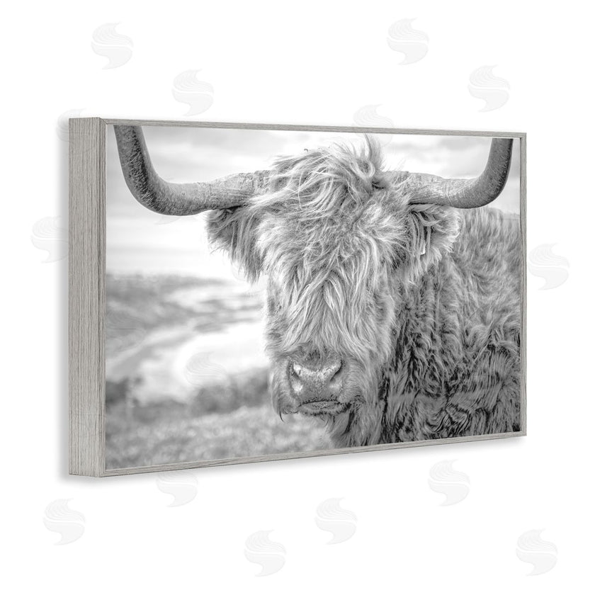 Jasper Huish | Close Up Fuzzy Cattle