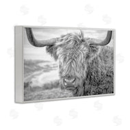 Jasper Huish | Close Up Fuzzy Cattle