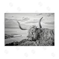 Jasper Huish | Cattle with Ocean Breeze
