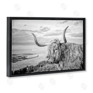 Jasper Huish | Cattle with Ocean Breeze