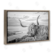 Jasper Huish | Cattle with Ocean Breeze