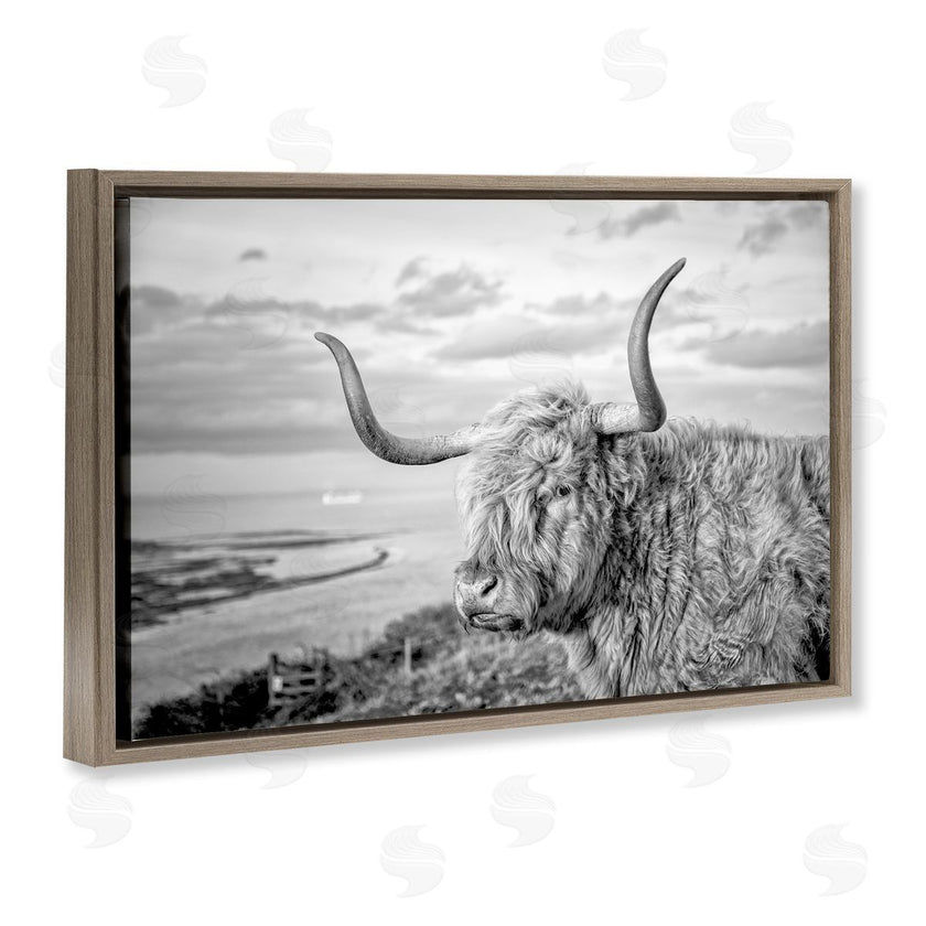 Jasper Huish | Cattle with Ocean Breeze