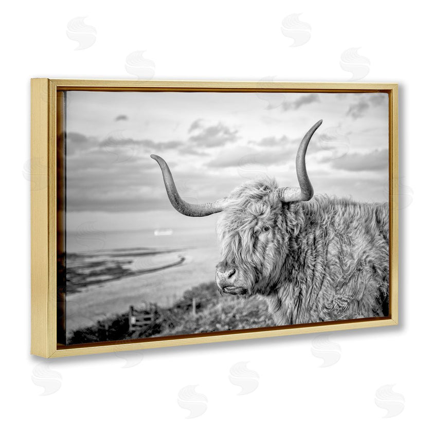 Jasper Huish | Cattle with Ocean Breeze