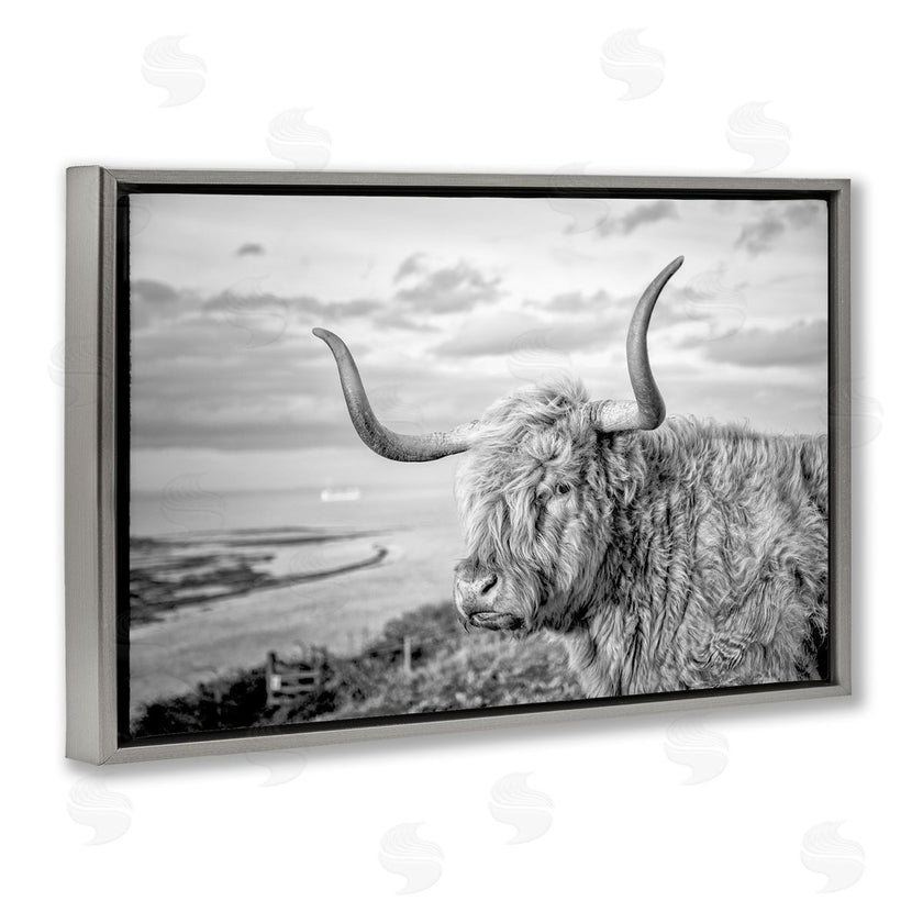 Jasper Huish | Cattle with Ocean Breeze
