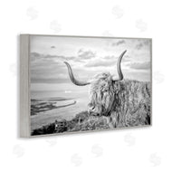 Jasper Huish | Cattle with Ocean Breeze