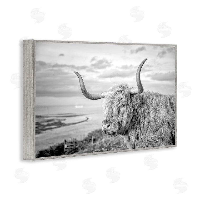 Jasper Huish | Cattle with Ocean Breeze