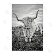 Jasper Huish | Longhorn Calf Family