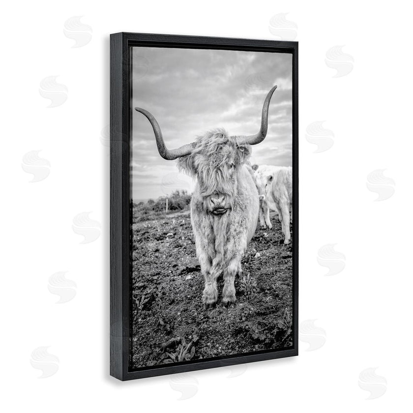 Jasper Huish | Longhorn Calf Family