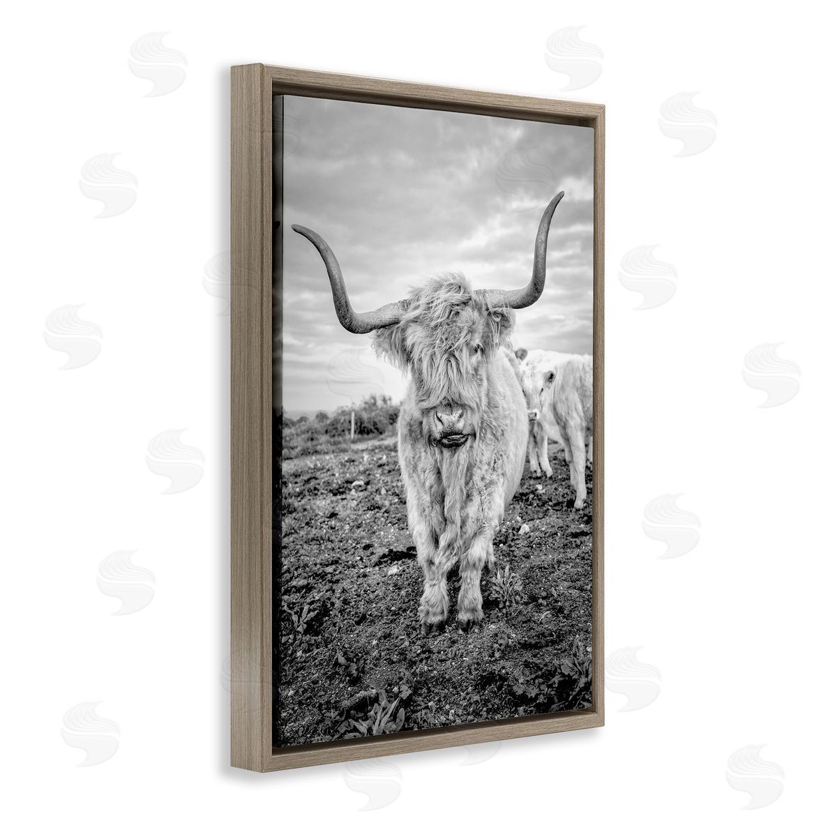 Longhorn Calf Family Brown Floating Frame Canvas Wall Art, Home Decor by Jasper Huish