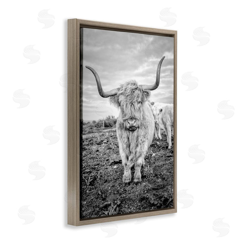 Jasper Huish | Longhorn Calf Family
