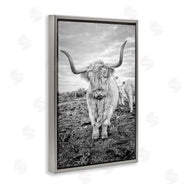 Jasper Huish | Longhorn Calf Family