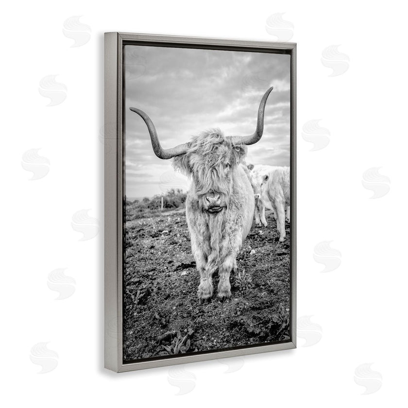 Jasper Huish | Longhorn Calf Family