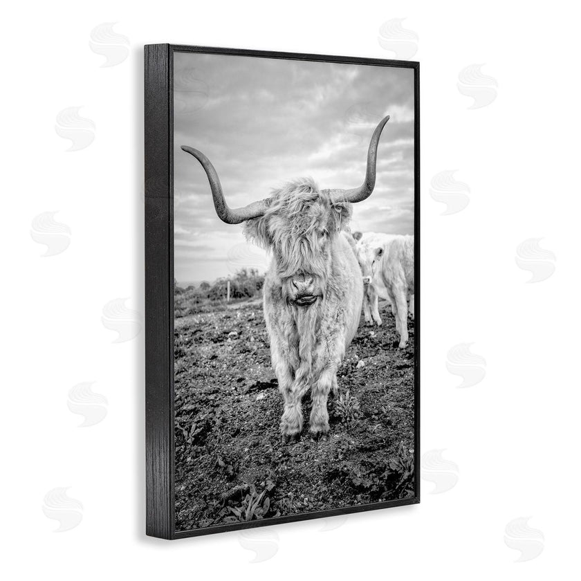 Jasper Huish | Longhorn Calf Family